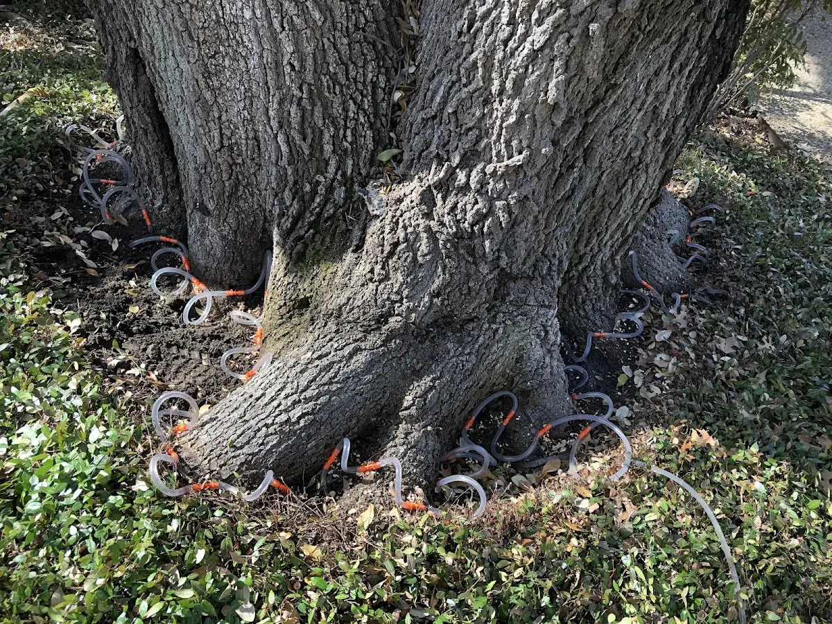Detailed Shrub and Hedge Trimming job site in New Bavaria